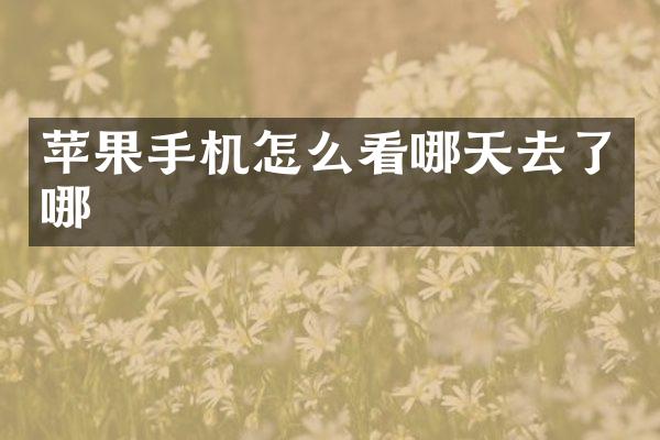 苹果手机怎么看哪天去了哪