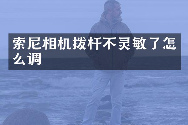相机拨杆不灵敏了怎么调