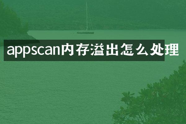 appscan内存溢出怎么处理