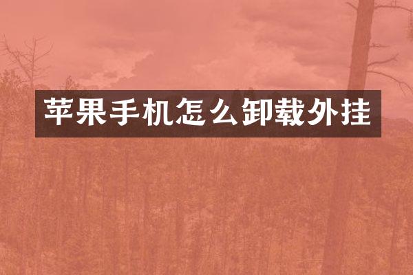 苹果手机怎么卸载外挂