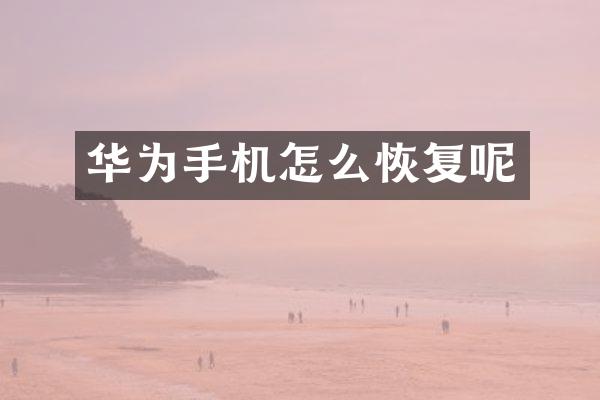 华为手机怎么恢复呢