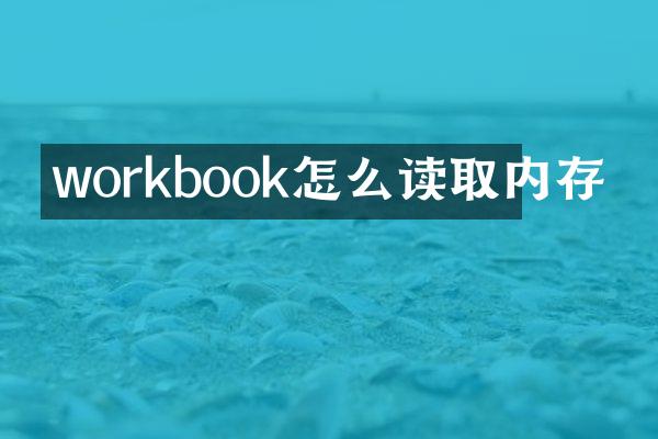 workbook怎么读取内存