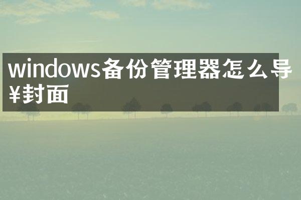 windows备份管理器怎么导入封面