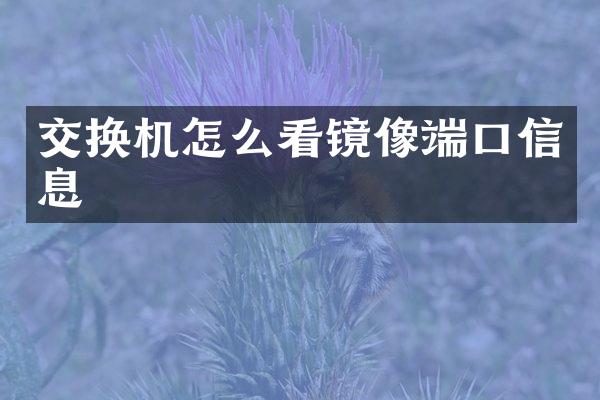 交换机怎么看镜像端口信息