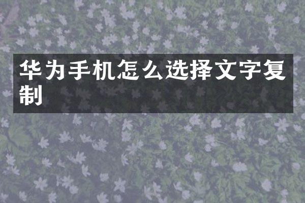 华为手机怎么选择文字复制