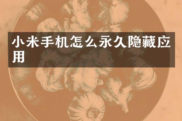 小米手机怎么永久隐藏应用