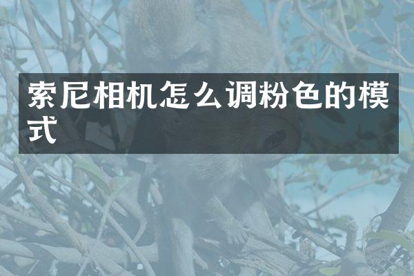 相机怎么调粉色的模式