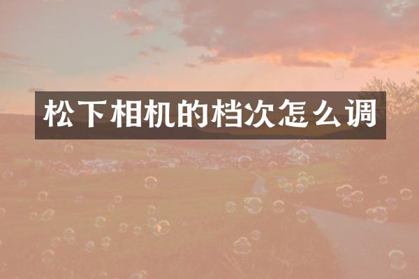 相机的档次怎么调