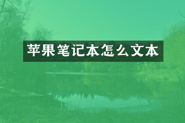 苹果笔记本怎么文本