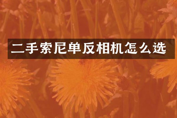 二手单反相机怎么选