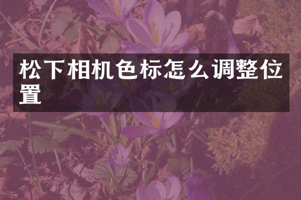 相机色标怎么调整位置