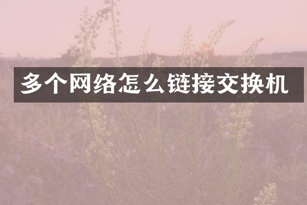 多个网络怎么链接交换机