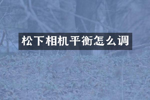 相机平衡怎么调