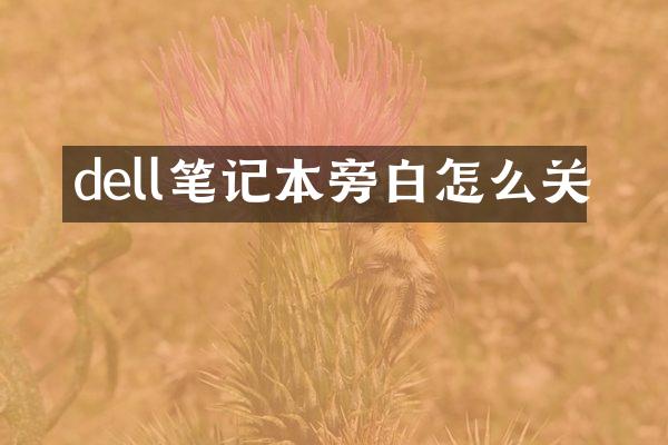 dell笔记本旁白怎么关