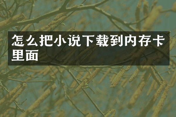 怎么把小说下载到内存卡里面