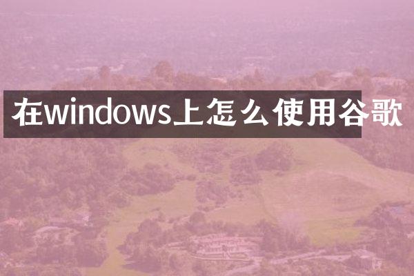 在windows上怎么使用谷歌