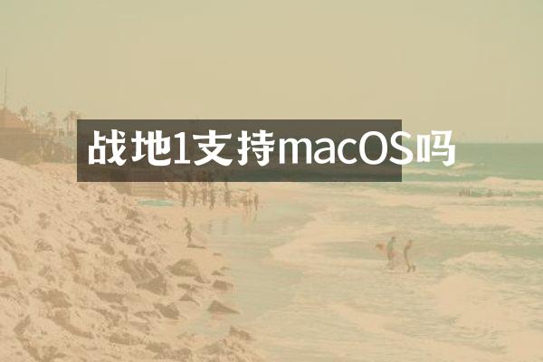 战地1支持macOS吗