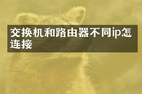 交换机和路由器不同ip怎么连接