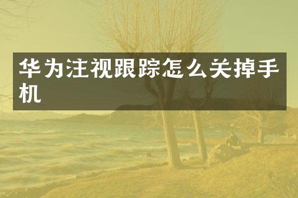 华为注视跟踪怎么关掉手机