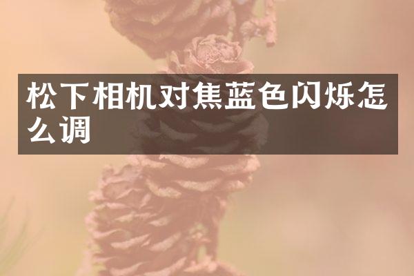 相机对焦蓝色闪烁怎么调