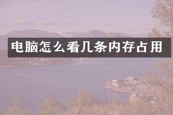 电脑怎么看几条内存占用