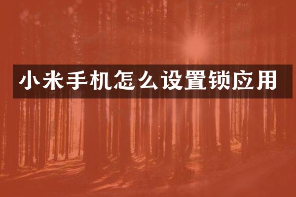 小米手机怎么设置锁应用