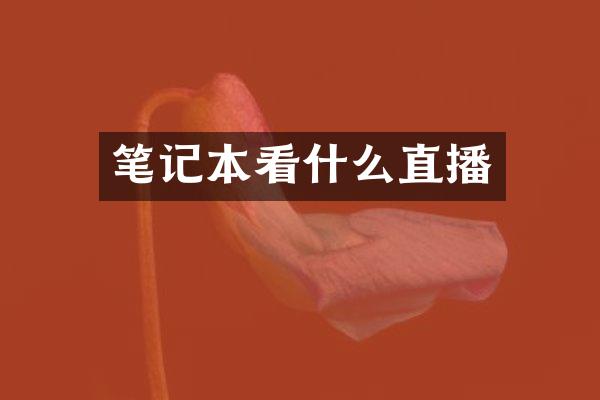 笔记本看什么直播