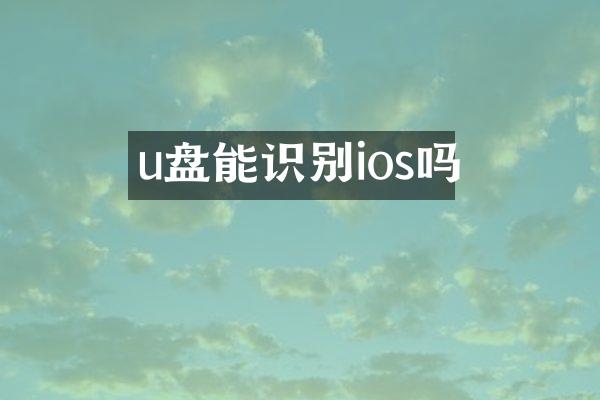 u盘能识别ios吗