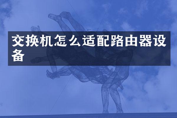 交换机怎么适配路由器设备
