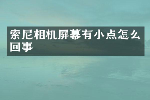 相机屏幕有小点怎么回事