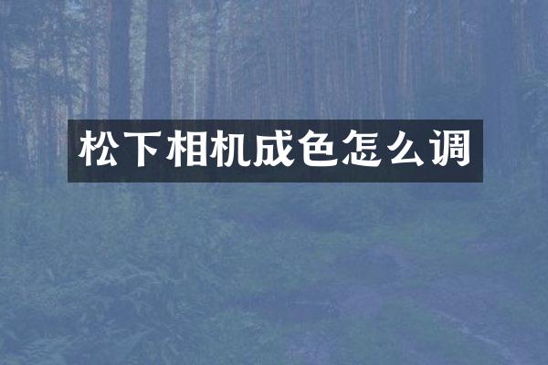 相机成色怎么调