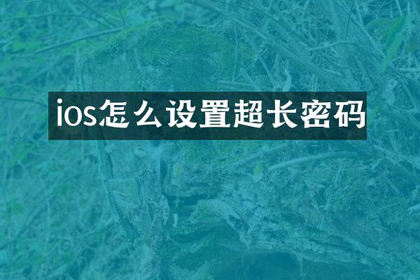 ios怎么设置超长密码