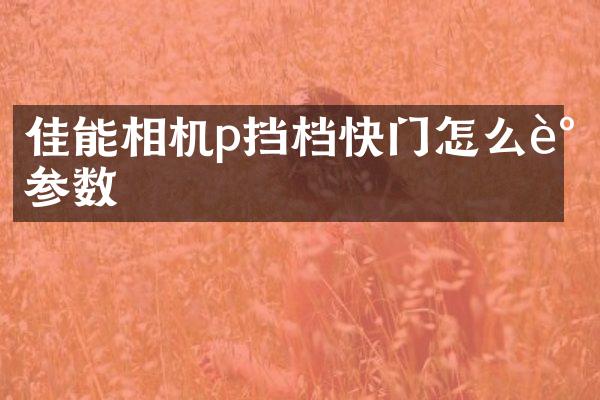 佳能相机p挡档快门怎么调参数