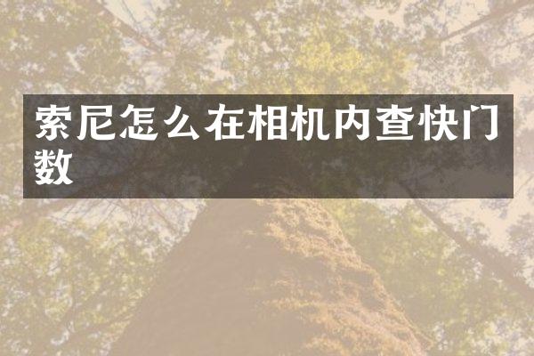 怎么在相机内查快门数