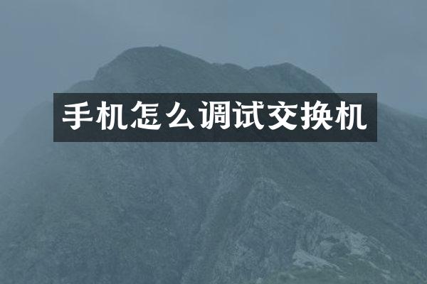 手机怎么调试交换机