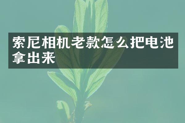 相机老款怎么把电池拿出来