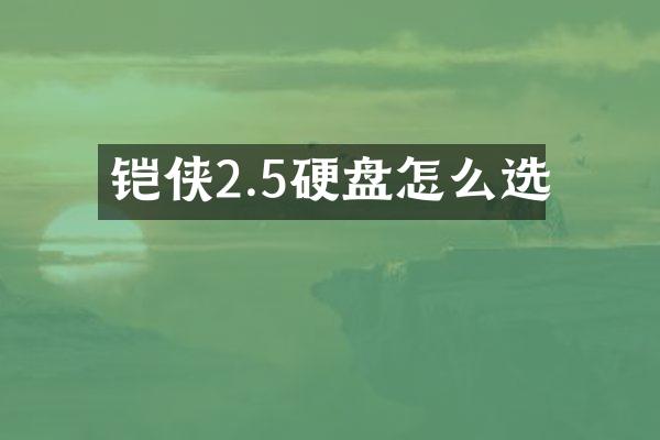 铠侠2.5硬盘怎么选