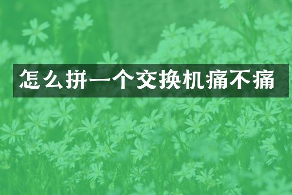 怎么拼一个交换机痛不痛