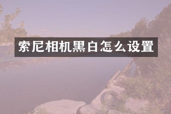 相机黑白怎么设置