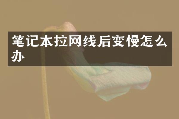 笔记本拉网线后变慢怎么办