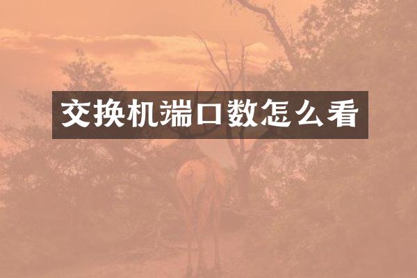 交换机端口数怎么看