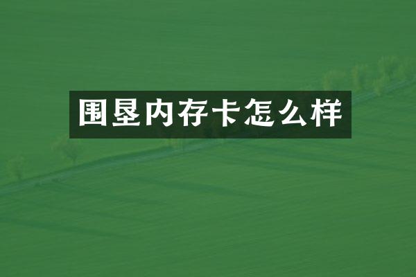 围垦内存卡怎么样
