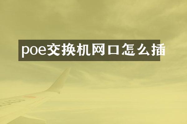 poe交换机网口怎么插