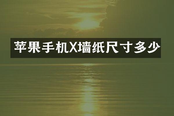 苹果手机X墙纸尺寸多少