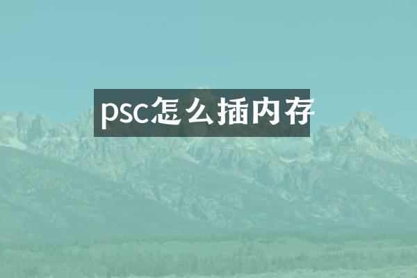 psc怎么插内存
