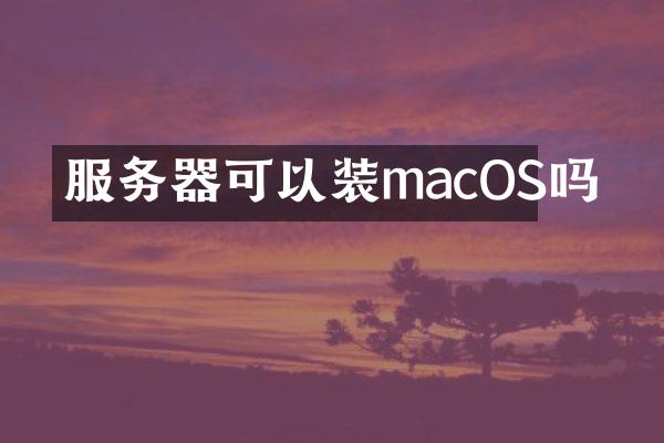 服务器可以装macOS吗