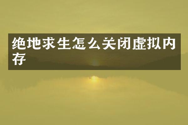 绝地求生怎么关闭虚拟内存