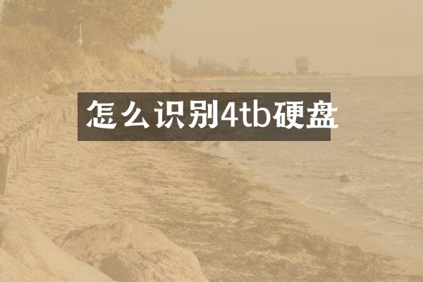 怎么识别4tb硬盘