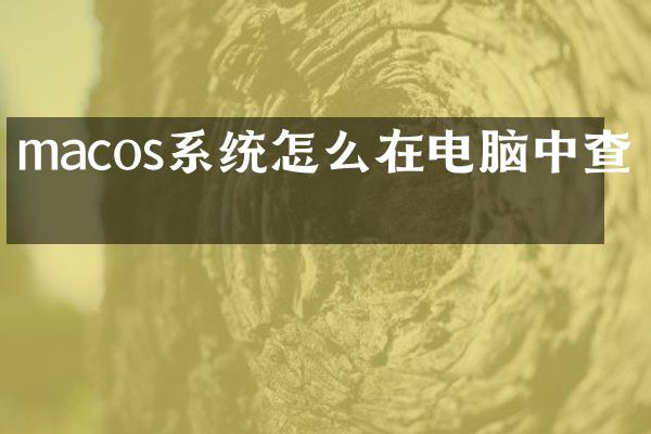 macos系统怎么在电脑中查看