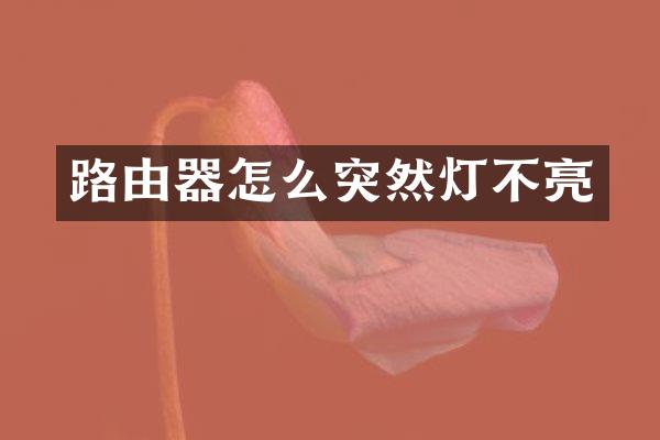 路由器怎么突然灯不亮